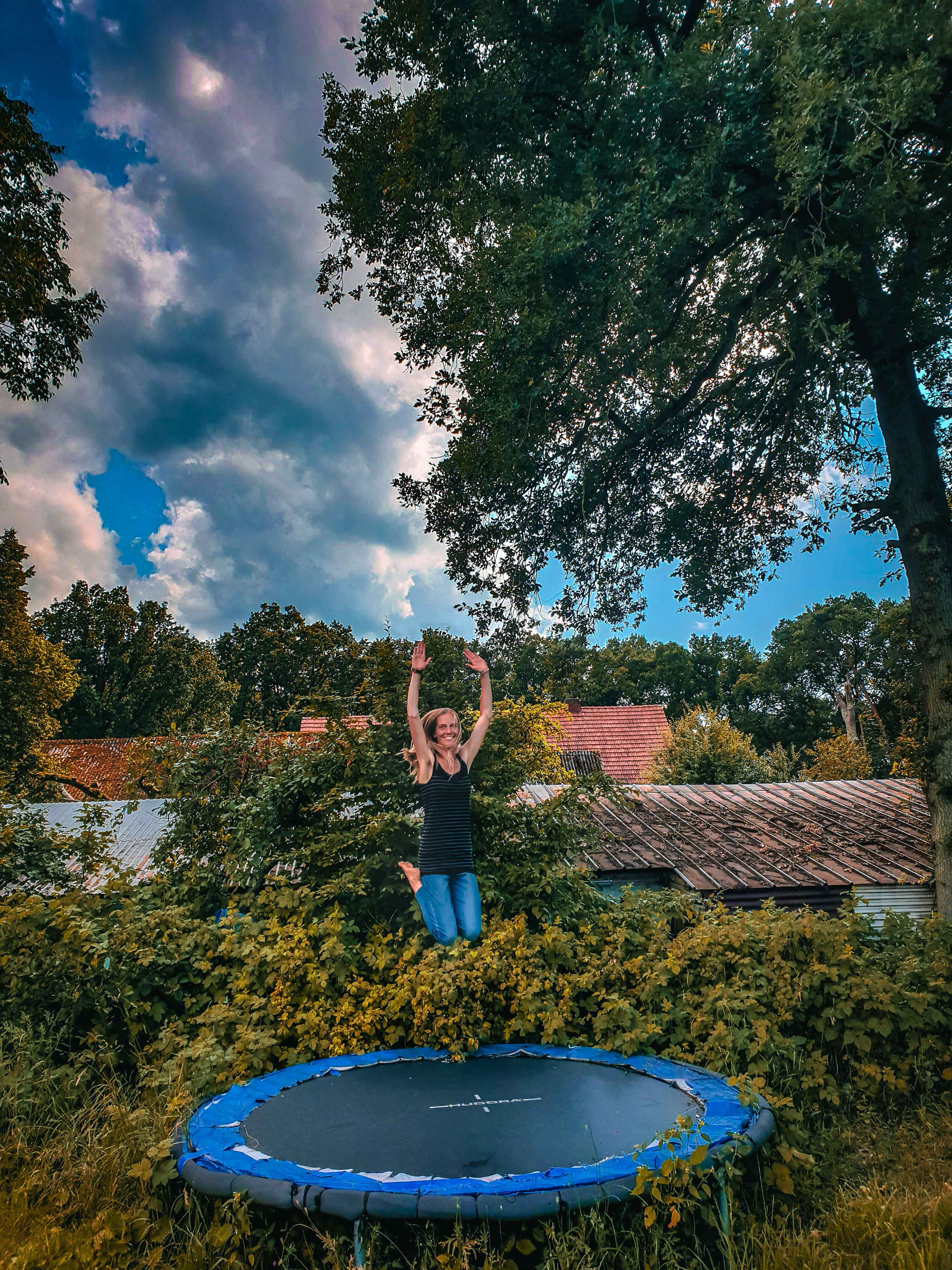 Fit Gesund Vegan Glücklich Vegetarisch